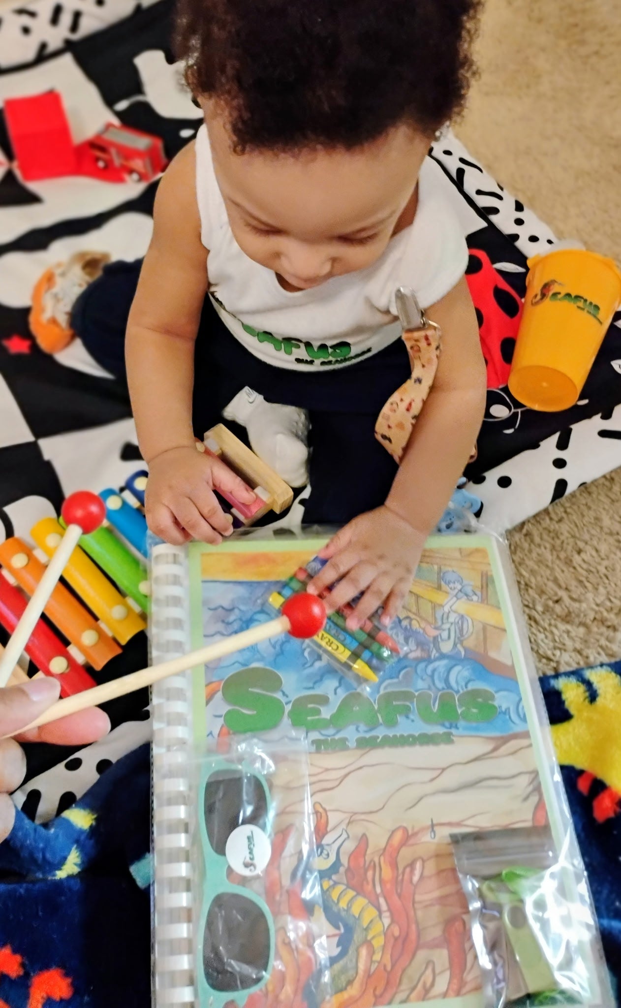 Seafus the Seahorse All -Inclusive Swag Pack (New 2026)